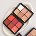 Carla secret 4 in 1 concealer contour , blusher & lipstick pallete limited edition