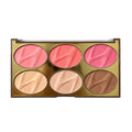 Sevencool Soft Touch Blush Contour & concealer Palette